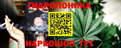 a pvp Славгород
