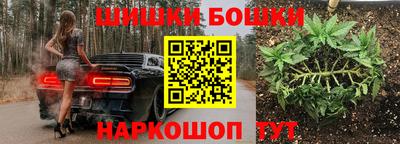 a pvp Славгород
