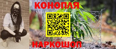 a pvp Славгород