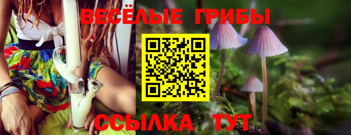Галлюциногенные грибы GOLDEN TEACHER Мелеуз
