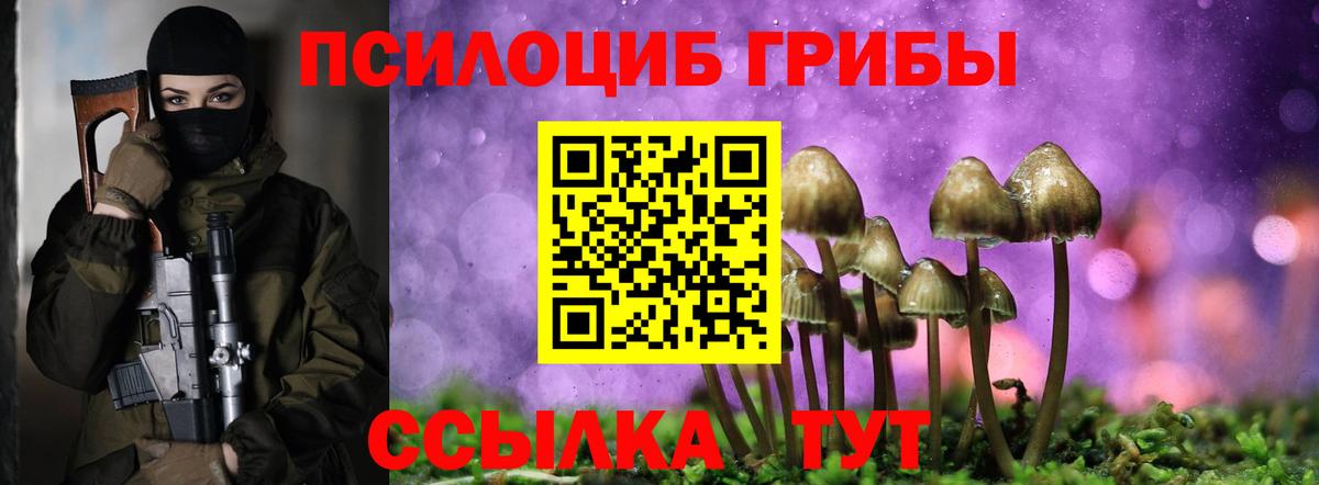 где можно купить наркотик  Псилоцибиновые грибы MAGIC MUSHROOMS  Вход с VPN  Мелеуз 